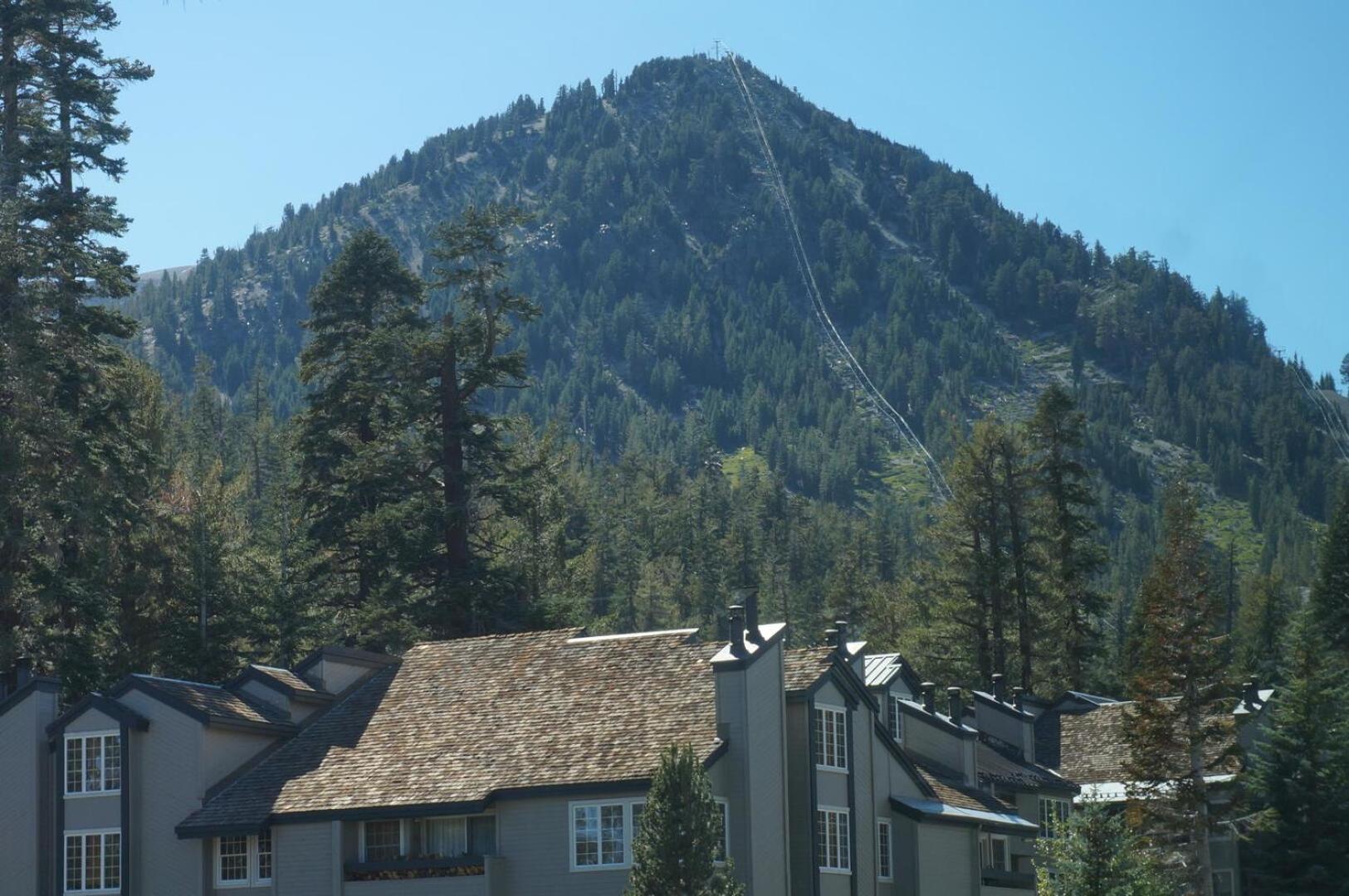 Walk To Lifts! Remodeled 2 Bedroom * Mammoth Lakes